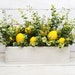 see more listings in the Farmhouse Lemon  section