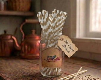 May include: A clear glass mason jar filled with white and tan striped paper straws. A rectangular label on the jar features a cow illustration. A tan paper tag attached to the jar reads 24 Paper Straws. Two additional straws lie on the surface.