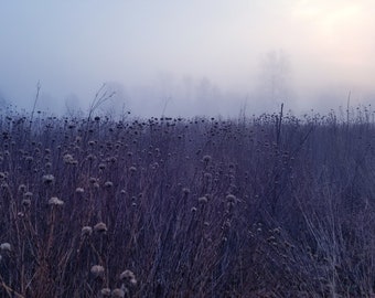 Blue Prairie in Fog