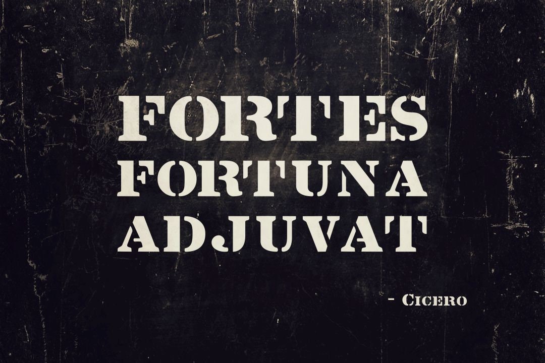 Cicero Quote Poster, Fortes Fortuna Adiuvat, Famous Military Quote Poster,  Motivational Quote Print, Best Friend Gift, I Stand With Ukraine -   Israel