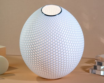 Large White Hive Pendant Lampshade Contemporary Light