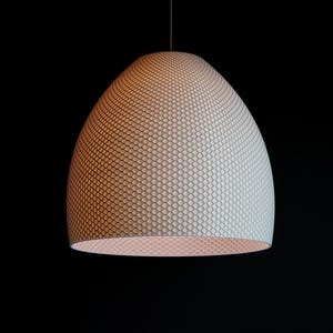Hive Ceiling light Fixture | Lampshade | Pendant Lamp | Unique Lamp | Hanging Lamp | Pendant Light | 30cm x 30cm