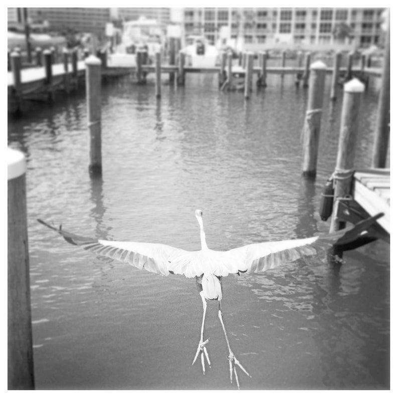 5 Art Prints 5x5 Orange Beach, Alabama, Gulf Shores, Perdido Key Etsy