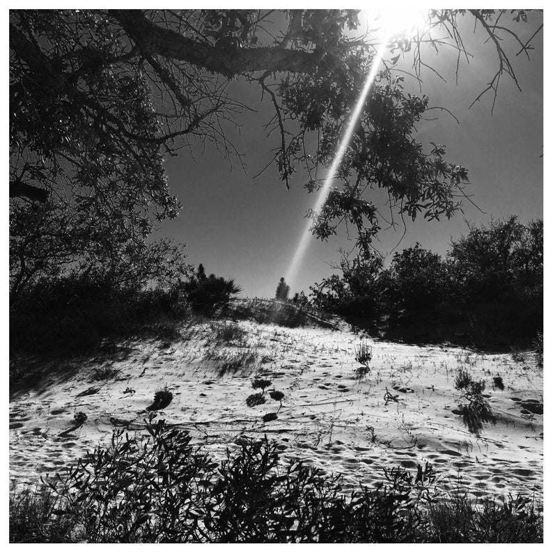 5 Art Prints 5x5 Orange Beach, Alabama, Gulf Shores, Perdido Key Etsy