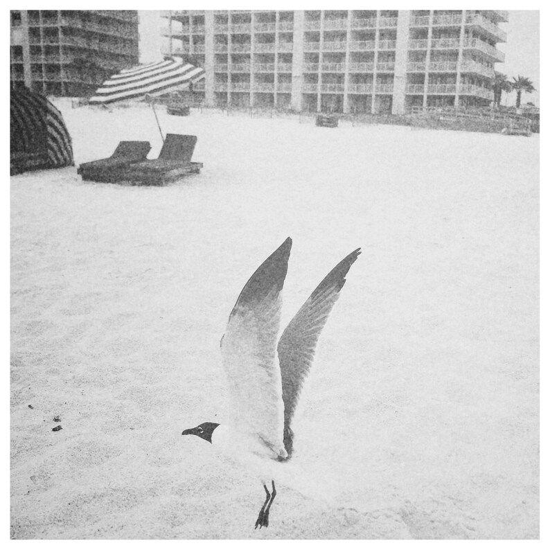 5 Art Prints 5x5 Orange Beach, Alabama, Gulf Shores, Perdido Key Etsy