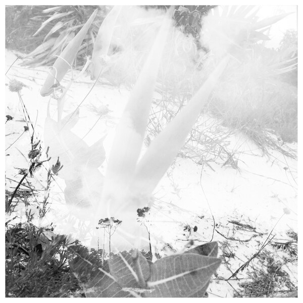 Perdido Key Wall Art Etsy