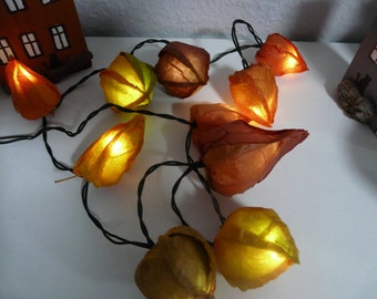 Physalis LED Lichterkette Lampe Tischlampe Herbstlampe Party Geburtstag grüner Kabel