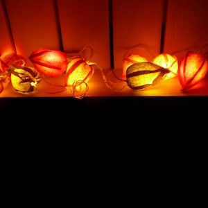 Könnte beinhalten: Eine Lichterkette mit dekorativen Lichtern, die ein warmes orange-gelbes Leuchten ausstrahlen. Die Lichter haben die Form kleiner, strukturierter Kapseln und sind mit dünnem, kupferfarbenem Draht verbunden. Der Hintergrund ist warmorange.