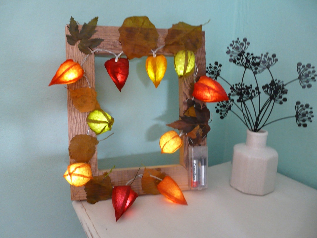 Physalis Lampionblumen LED Lichterkette im Altholzrahmen Etsy.de