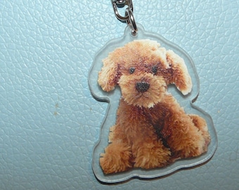 Dog pendant poodle key ring bag pendant with inscription lucky charm party birthday