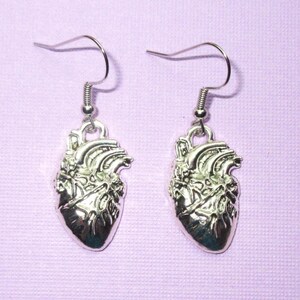 May include: A pair of silver heart-shaped dangle earrings. The earrings are made of metal and have a detailed anatomical heart design.
