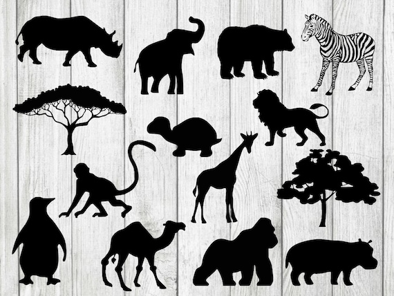 Download Bundle Zoo Animals Clipart Zoo Svg Animals Svg Cut Files For Cricut Silhouette Instant Download Commercial Use