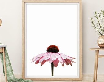 BOTANICAL PRINT #004 Pink/Purple Flower, Contemporary, Printable Instant Download, Digital Download, Large Poster, Home Decor, Wall decor