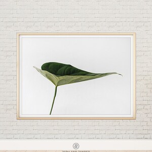 BOTANICAL PRINT #010 Green Leaf, Contemporary, Printable Instant Download, Digital Download, Large Poster, Home Décor, Wall Décor