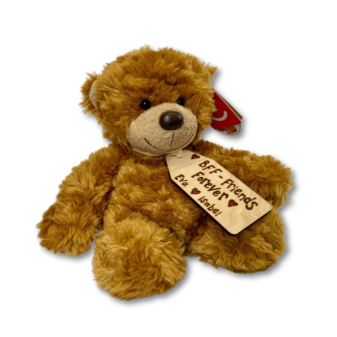 My Wishing Bear – Award-Winning Book and Plush Set – DIY Teddy Bear Stuffed  Animal Promotes Social Emotional Learning - 811069031016