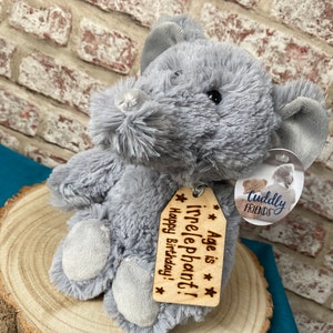 Funny Birthday Elephant Teddy Gift | Birthday Message | Personalised Elephant Plush | 12" Stuffed Animal | Age Is Irrelephant Quote