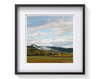 Napa - Vineyeards of the Wine Country Region - Framed Fine Art Photography - Dwell Decor - FREE Shipping!