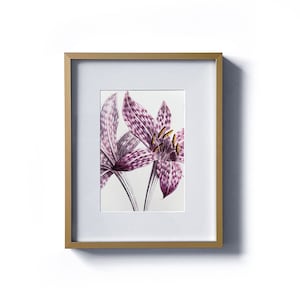 Lily of the Valley Purple Wild Flower - Vintage Framed Print