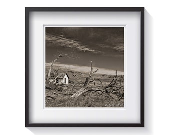 Dead Tree Ranch - Black and White Framed Fine Art Photography - Dwell Decor - FREE Shipping!