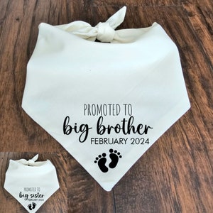 Promoted to Big Brother! Promoted to Big Sister! Dog Bandana. Dog gift. Tie on Dog Bandana.- 12COLORS