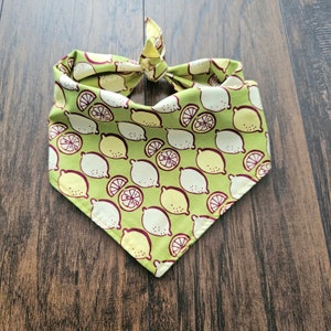 Bandana per cani limonata, bandana per cani, bandana verde.