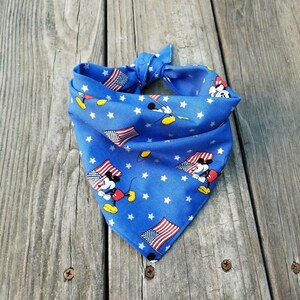4th of July  With Mickey. 4th of July Dog Bandana. Dog neck were.  Dog Charm.