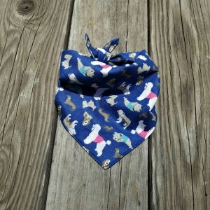 Festival Perro Bandana, Perro Bandana, Cuello de perro, Pet Bandana