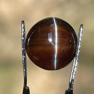 6.02 CT  Cat&#39;s Eye Chrysoberyl(Natural Unheated) ID- SS001422