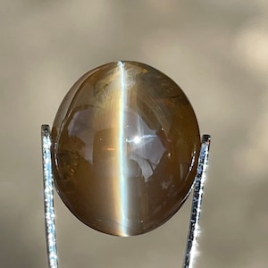 6.09CT Cat&#39;s Eye Chrysoberyl(Natural Unheated) ID-SS001440