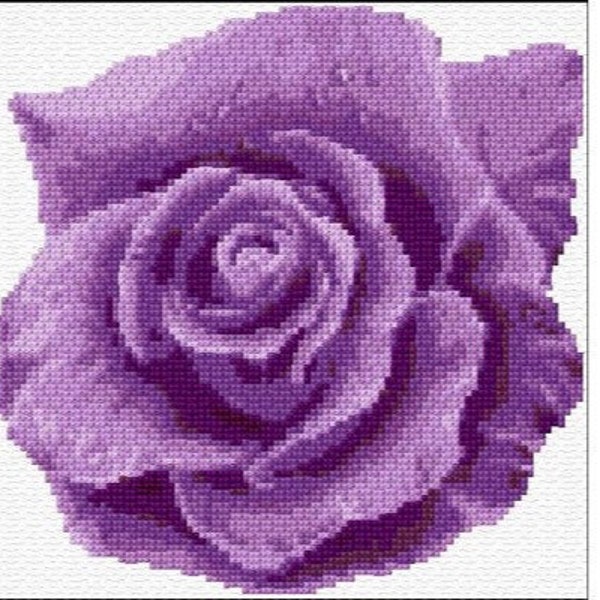 Purple Rose Cross Stitch Pattern PDF Pattern Digital Download Counted Cross Stitch Purple Cross Stitch Gift For Her Modern Cross Stitch