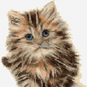 Kitten Cross Stitch Pattern PDF Pattern Digital Download Counted Cross Stitch Cute Kitty Cat Animal Domestic Pet DMC Colours 14ct