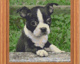 Boston Terrier Dog Cross Stitch Pattern PDF Pattern Digital Download Counted Cross Stitch Animals Domestic Pet DMC Colours 14ct