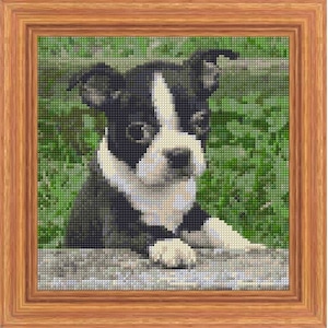 Boston Terrier Dog Cross Stitch Pattern PDF Pattern Digital Download Counted Cross Stitch Animals Domestic Pet DMC Colours 14ct