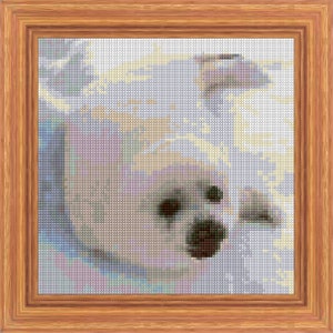 Baby White Seal Cross Stitch Pattern PDF Pattern Digital Download Counted Cross Stitch Sea Animal Mammal Winter DMC Colours 14ct