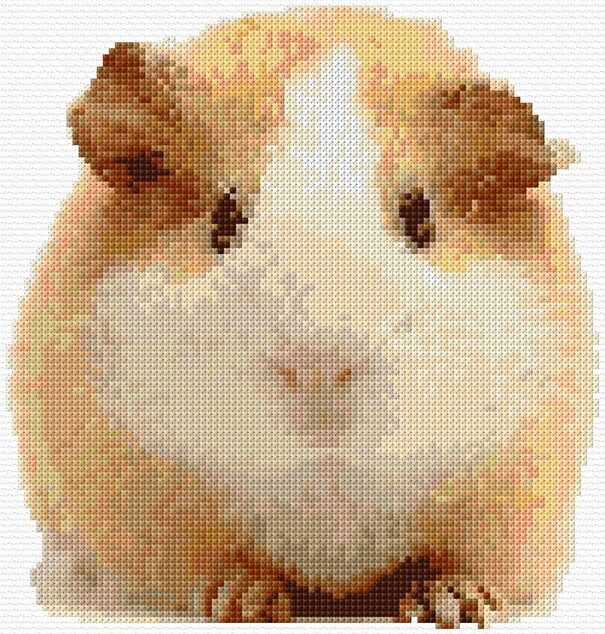 Guinea Pig Cross Stitch Pattern PDF Pattern Digital Download Counted Cross Stitch Animals Pets Cute DMC Colours 14ct