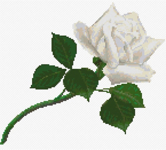 White Rose Cross Stitch Pattern PDF Pattern Digital Download