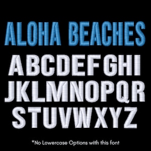 Personalized Dive Flag BCD Tag: Embroidered Scuba Diver Gift image 8
