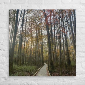 Fall Boardwalk at Congaree National Park – Autumn Forest Canvas Wall Art