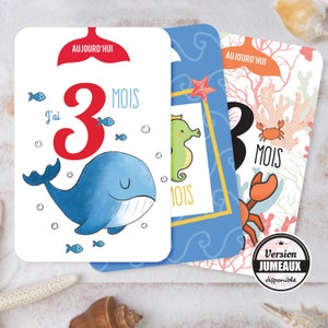 Cartão Baby Step na França, tema de animais marinhos para futuro velejador!