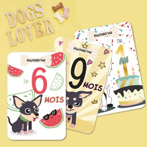 Cartes mois bébé - Cartes étapes bébé - Thème chihuahua - Cadeau Naissance - Cadeau baby shower - Carte étape bébé - Naissance bébé