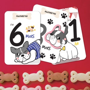 Baby Step Cards - 12 maanden - Geboorte cadeau - Voor liefhebbers van de Franse Bulldog - Baby Gift - High-End Papier Afdrukken