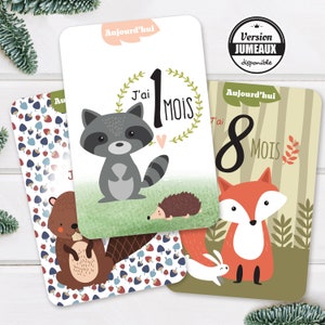 Carta passo del bambino, regalo di nascita del bambino, uccelli della volpe e della foresta