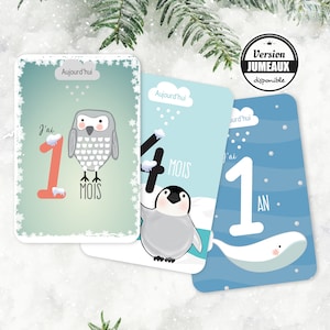Cartes étapes de bébé au thème banquise avec ses animaux tels que le pingouin et la baleine. Un univers doux pour un cadeau de naissance.