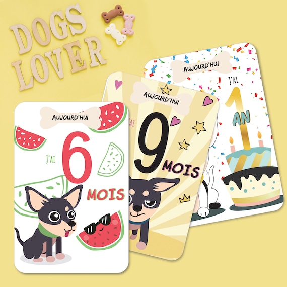 Cartes Mois Bebe Cartes Etapes Bebe Theme Chihuahua Etsy