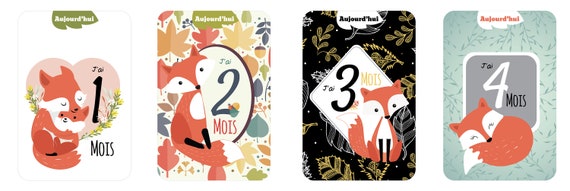 Cartes étapes Bébé En Bois - Lot De 6 Cartes Recto/verso (1 à 12 Mois) - Motif Renard - Pour Photos Souvenirs, Cadeau Naissance