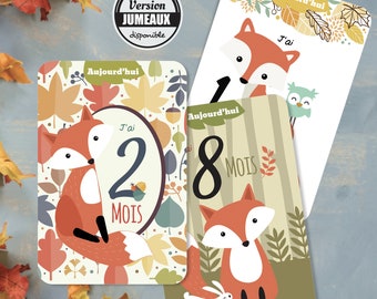 12 Baby Steps Cards, a high-end fox theme to keep a memory of his first year. By Omade