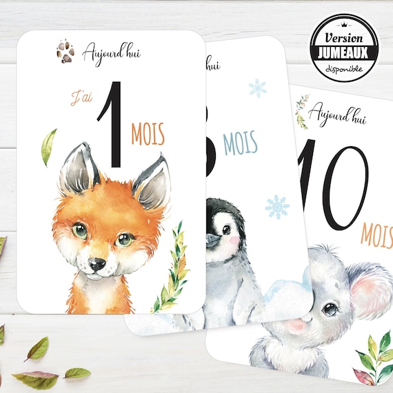 Cartes étapes Bébé En Bois X7 (recto Verso 12 Mois Et Carte Naissance