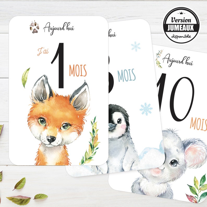 12 Cartes étapes Bébé thème animaux qualité haut de gamme - Créatrice ETSY : OmadeCreation