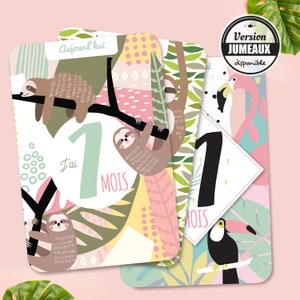 Cartes étapes Bébé au thème Tropical aux douces couleurs pastel et avec ses fleurs et son paresseux adorable. Idéal en cadeau de naissance