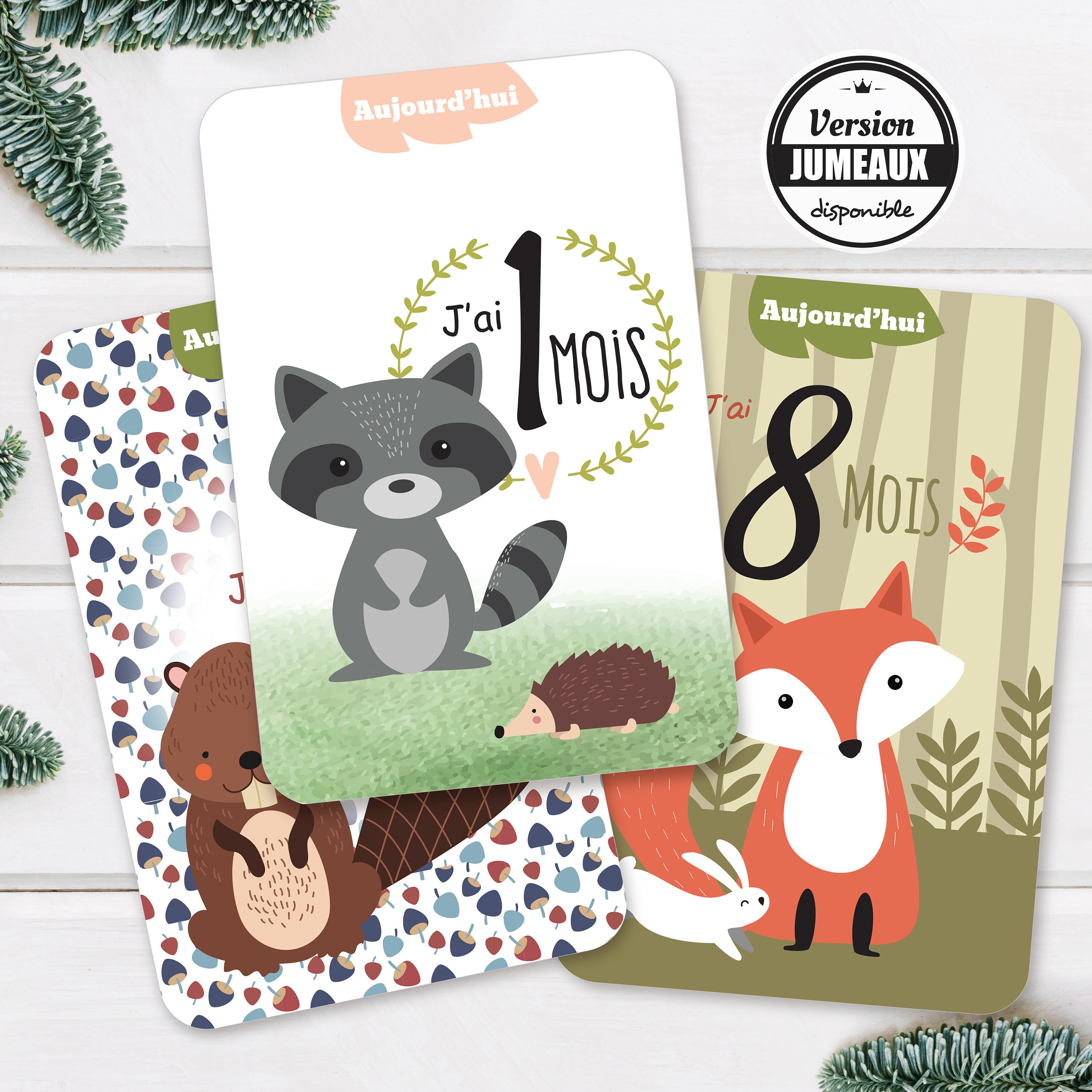 Cartes étapes Bébé Mois Par Mois - Design Ethnique Hibou/chouette - Idée Cadeau Naissance Originale - Dessin Creativo